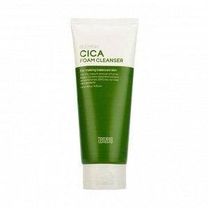 TENZERO BLEMISH CICA FOAM CLEANSER (180ml), Пенка для умывания с экстрактом центеллы азиатской (180мл)