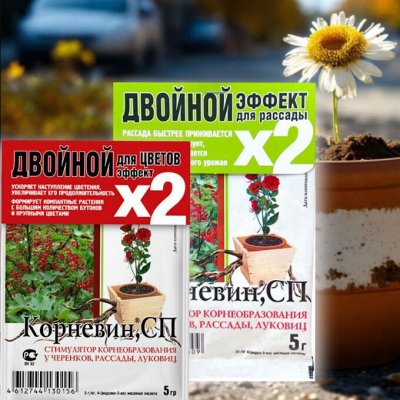 Эффективные стимуляторы корнеобразования
