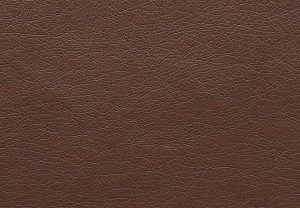 FUSION chocolate