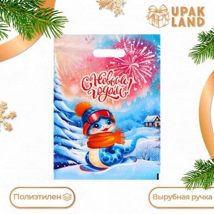 Пакет "Змея сноубордист", полиэтиленовый с вырубной ручкой, 30 х 40 см, 50 мкм