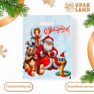 Пакет "Дед мороз со зверушками", полиэтиленовый с вырубной ручкой, 30 х 40 см, 50 мкм