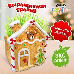 Набор для опытов «Выращиваем травку: Домик», с семенами