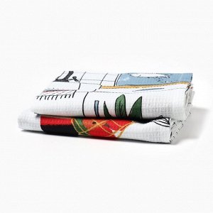 Набор кухонных полотенец Доляна «Котик на кухне» 35х60см-2шт, 100% хл