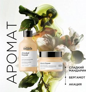 Подарочный набор Лореаль Зимний набор для поврежденных волос Шампунь для волос 300 мл и Маска для волос 250 мл Absolut Repair Loreal Professionnel