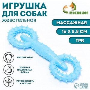 Игрушка для собак "Мотор", TPR, массажная, 16 х 5,8 см, голубая