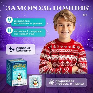 Набор для опытов «Снежный ночник: Пингвин», своими руками