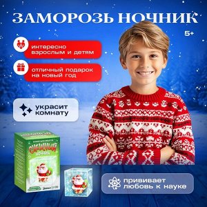 Набор для опытов «Снежный ночник: Дед Мороз», своими руками