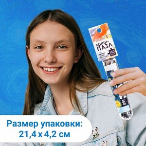 Puzzle Time Мини - пазлы в колбе «Звёздная ночь», 150 деталей