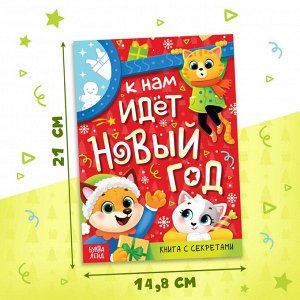 Книга с секретами «К нам идёт Новый год», более 100 окошек