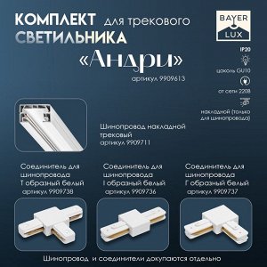 Светильник трековый Simple "Андри" GU10 220В черный хром 7,5х7,5х20 см