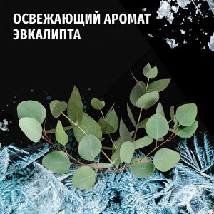 Фа Мужской гель для душа "Охлаждение экстрим" 3в1 250 мл
