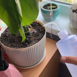 Бутылка для полива суккулентов, 500 мл