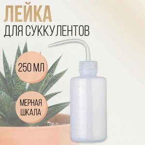 Бутылка для полива суккулентов, 250 мл