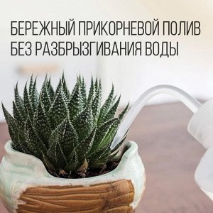 Бутылка для полива суккулентов, 500 мл