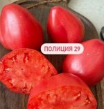&quot;ПОЛИЦИЯ 29 / Policie 29 /  Польша&quot;
