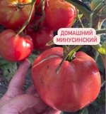 &quot;ДОМАШНИЙ            МИНУСИНСКИЙ&quot;