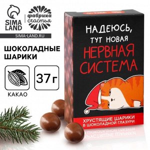 Шоколадные шарики «Нервная система» в коробке, 37 г.