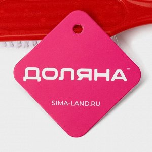 Щётка для овощей и фруктов с ручкой Доляна, 17x3.3x2 см, МИКС