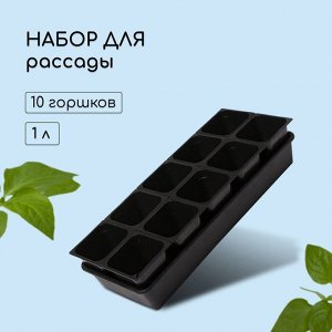 Набор для рассады: стаканы по 1 л (10 шт.), поддон 61x23 см, чёрный
