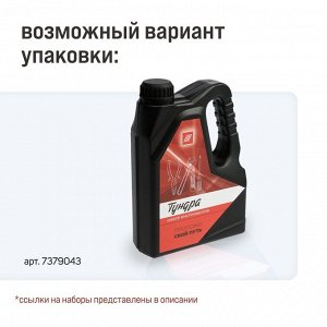 Набор инструментов ТУНДРА, подарочный пластиковый кейс «Канистра», 21 предмет