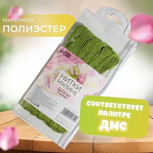 Нитки мулине №470, 8 ± 1 м, цвет светлый авокадо, цена за 6 мотков