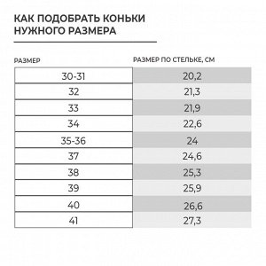 Коньки фигурные Winter Star Basic.