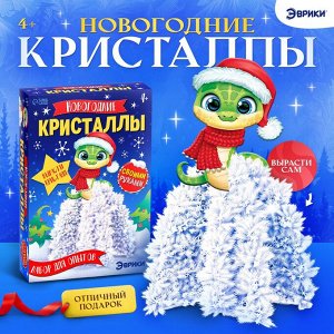 Набор для опытов «Новогодние кристаллы»