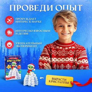Набор для опытов «Новогодние кристаллы»