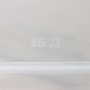 Контейнер для хранения с крышкой, 25 л, 41x29.5x31.2 см, пластик, прозрачный