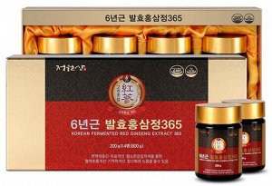 Сироп с ферментированным 6-летним красным женьшенем Jungwonsam 6 Years Old Korean Fermented Red Ginseng Extract 365