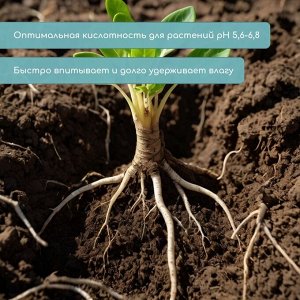 Таблетки кокосовые, для рассады, d=3.5 см, без оболочки, набор 10 шт., Greengo