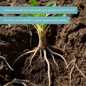 Таблетки кокосовые, для рассады, d=4 см, с оболочкой, набор 6 шт., Greengo