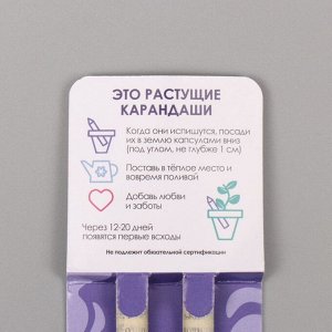 Набор для выращивания, карандаши подарочные «Мята и Лаванда», mini, простые чернографитные, 2 шт.
