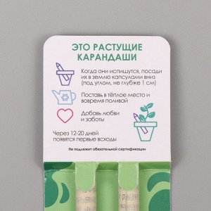 Набор для выращивания, карандаши подарочные «Мята и Паприка», mini, простые чернографитные, 2 шт.