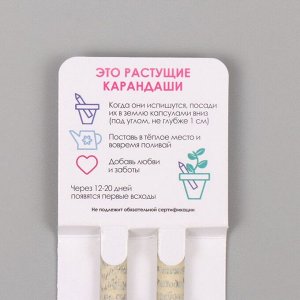 Набор для выращивания, карандаши подарочные «Мята и Паприка», mini, простые чернографитные, 2 шт.