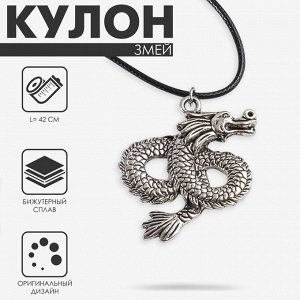 Кулон на шнурке «Змей», цвет чернёное серебро на чёрном шнурке, 42 см