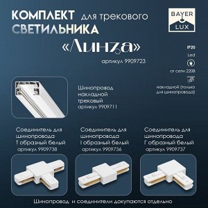 Светильник трековый SIMPLE "Линза" LED 20Вт белый 34х3,5х4,5 см