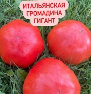 " ИТАЛЬЯНСКАЯ ГРОМАДИНА             ГИГАНТ          / Giant Italian Whopper "
