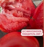 &quot;Б/с МИНУСИНСКОЕ            ПОБЕДИТЕЛЬ 2009 г.&quot;