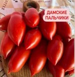 ДАМСКИЕ ПАЛЬЧИКИ