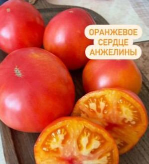 "ОРАНЖЕВОЕ СЕРДЦЕ ОТ          АНДЖЕЛИНЫ       / Orange heart from /"