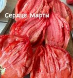 СЕРДЦЕ МАРТЫ