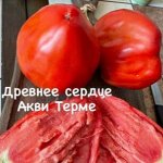 &quot;ДРЕВНЕЕ СЕРДЦЕ АКВИ          ТЕРМЕ&quot;