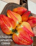 &quot;СЛАДКАЯ КАРАМЕЛЬ            СОФИИ&quot;