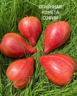 &quot;ОГНЕННАЯ КОМЕТА           СОФИИ&quot;