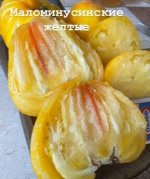 &quot;МАЛОМИНУСИНСКИЕ          ЖЕЛТЫЕ&quot;