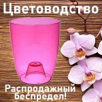 Цветоводство: для дома и дачи-28 Распродажный беспредел