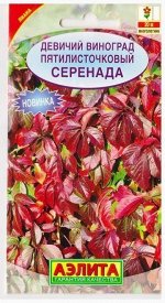 Виноград девичий Серенада (Код: 75486)