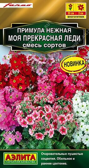 Примула Моя прекрасная леди (Код: 92524)