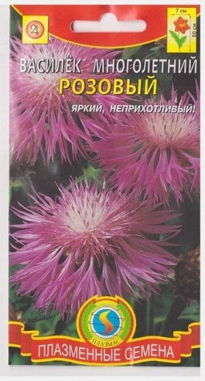 Василек Многолетний Розовый (Код: 75131)